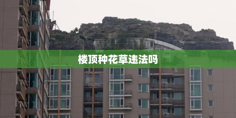 楼顶种花草违法吗