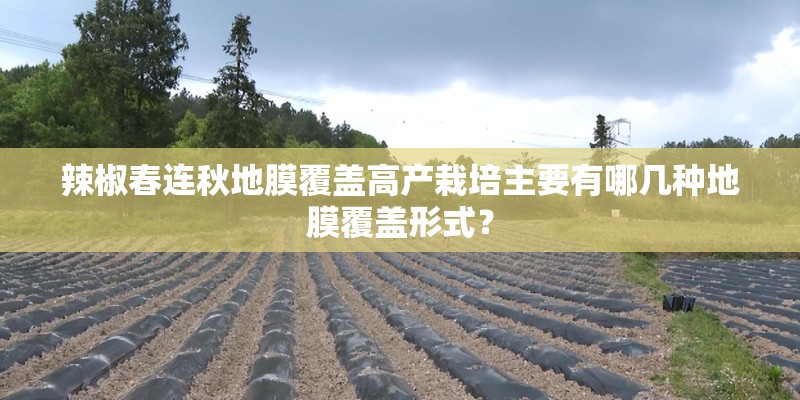 辣椒春连秋地膜覆盖高产栽培主要有哪几种地膜覆盖形式？
