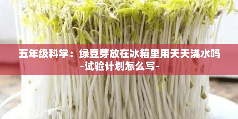 五年级科学：绿豆芽放在冰箱里用天天浇水吗-试验计划怎么写-