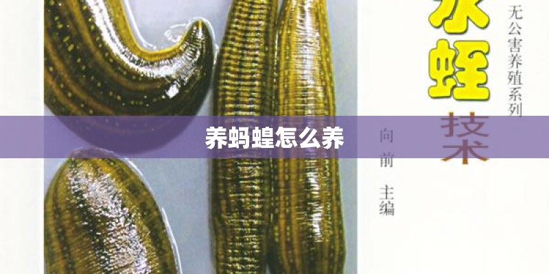 养蚂蝗怎么养