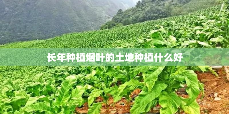 梦见挖种植物的预兆