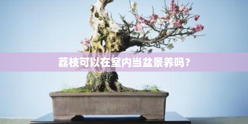 杭州五星级酒店都是有哪些？