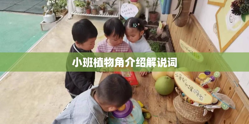 小班植物角介绍解说词