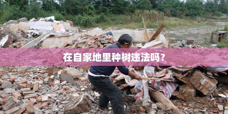 在自家地里种树违法吗？