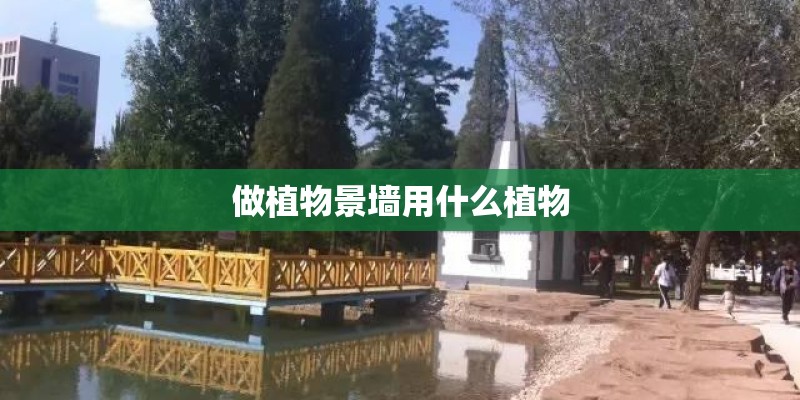 做植物景墙用什么植物