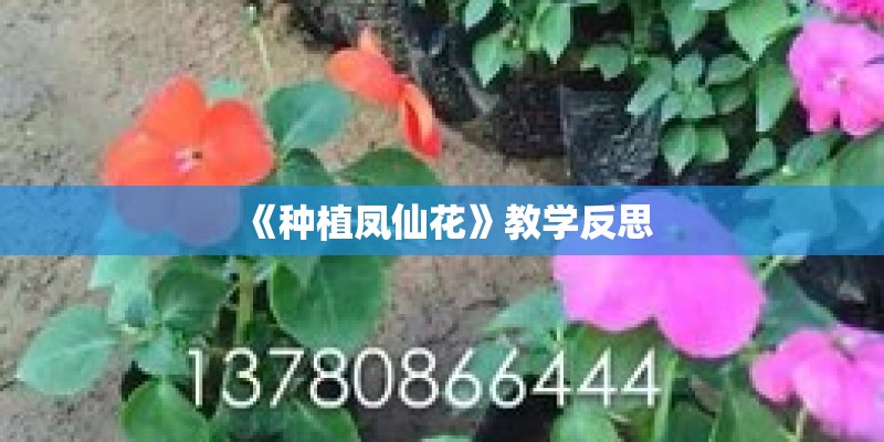 《种植凤仙花》教学反思