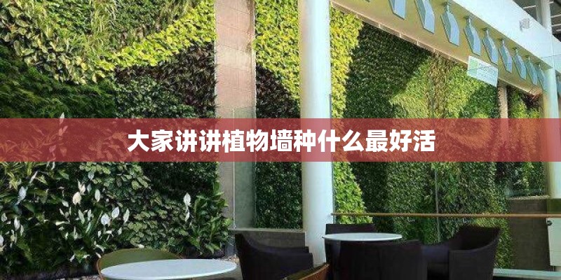 大家讲讲植物墙种什么最好活