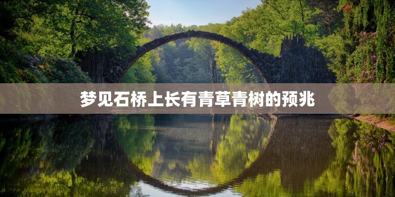 梦见石桥上长有青草青树的预兆