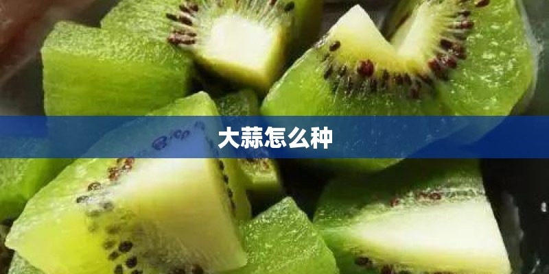 大蒜怎么种