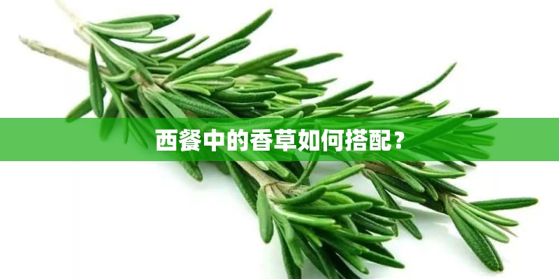 西餐中的香草如何搭配？