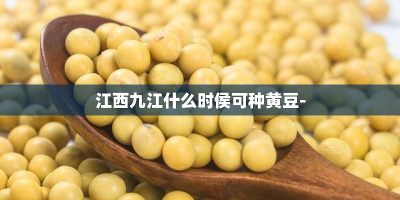江西九江什么时侯可种黄豆-