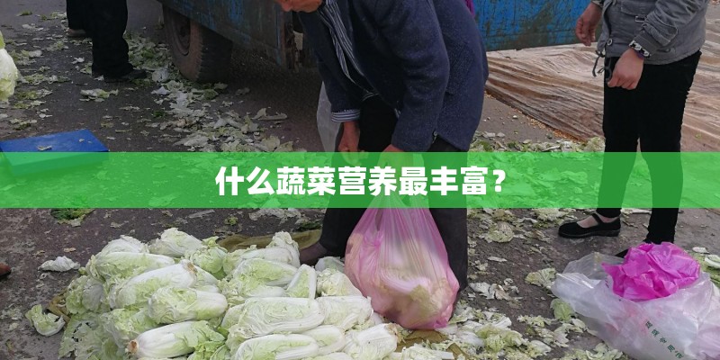 什么蔬菜营养最丰富？