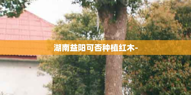湖南益阳可否种植红木-