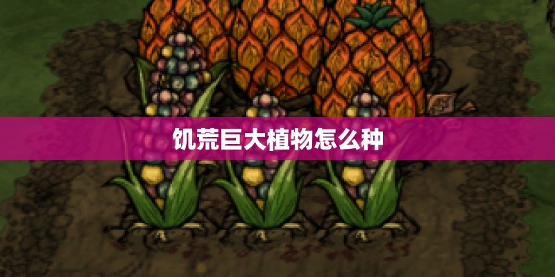 饥荒巨大植物怎么种
