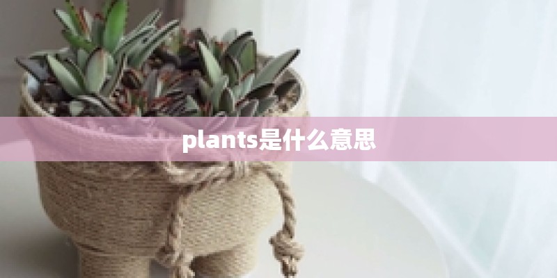 plants是什么意思