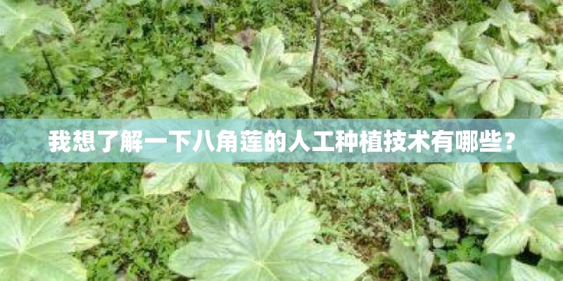 我想了解一下八角莲的人工种植技术有哪些？
