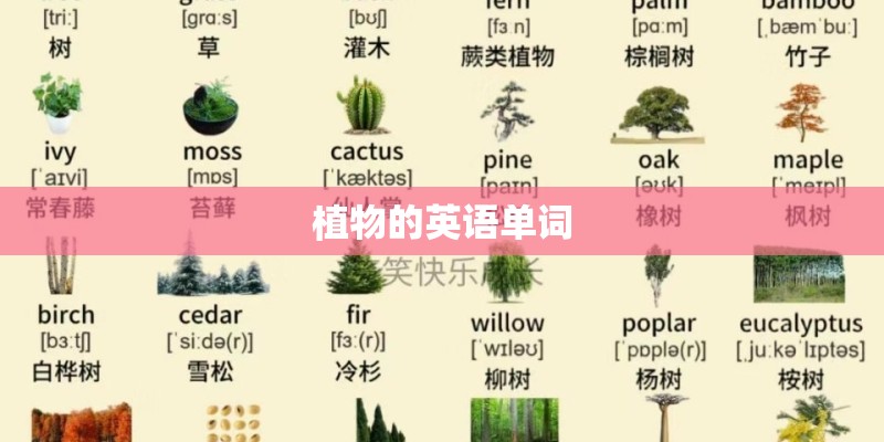 植物的英语单词