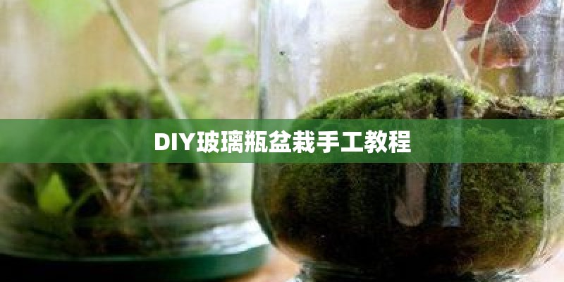 DIY玻璃瓶盆栽手工教程
