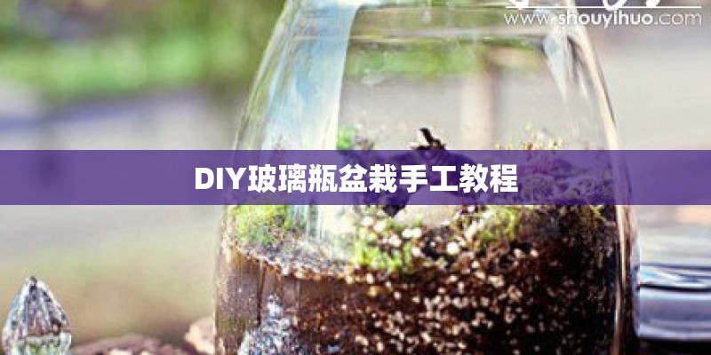 DIY玻璃瓶盆栽手工教程 DIY玻璃瓶盆栽手工教程