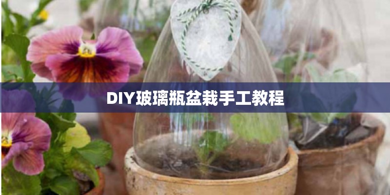 DIY玻璃瓶盆栽手工教程 DIY玻璃瓶盆栽手工教程