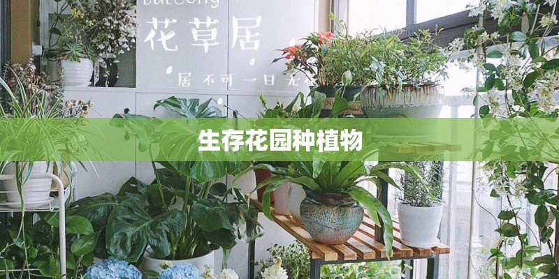 生存花园种植物