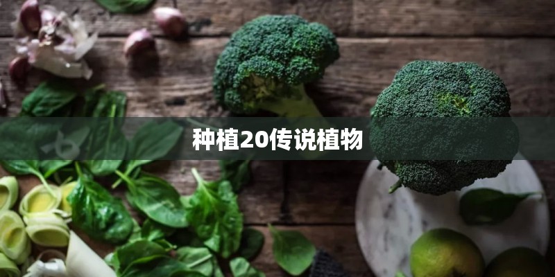 种植20传说植物