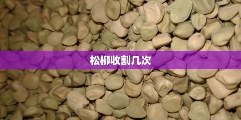 松柳收割几次