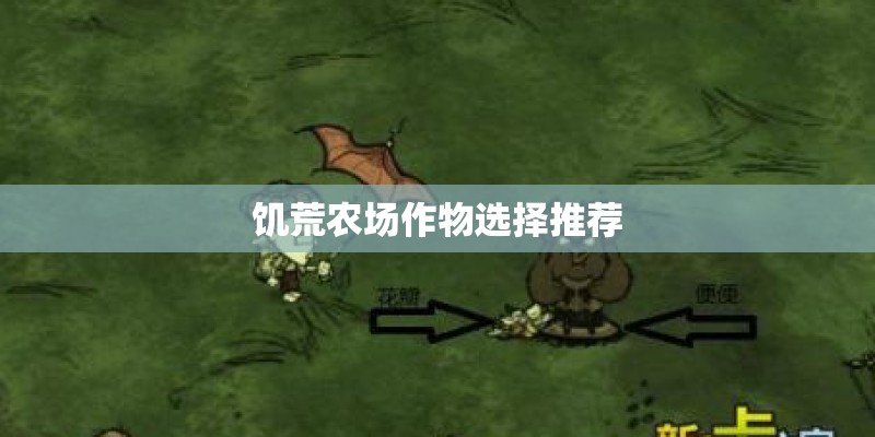 饥荒农场作物选择推荐