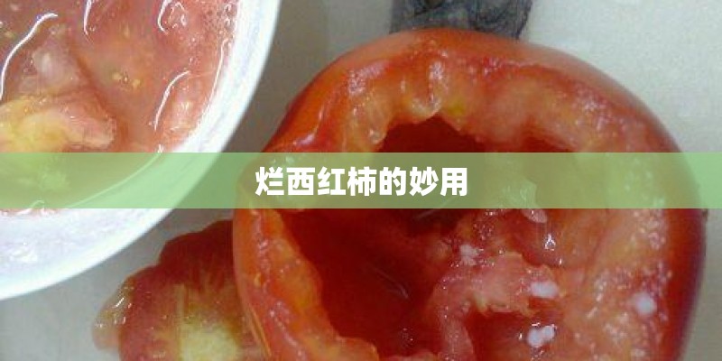 烂西红柿的妙用