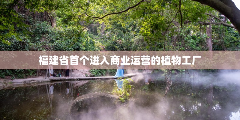 福建省首个进入商业运营的植物工厂 福建省首个进入商业运营的植物工厂