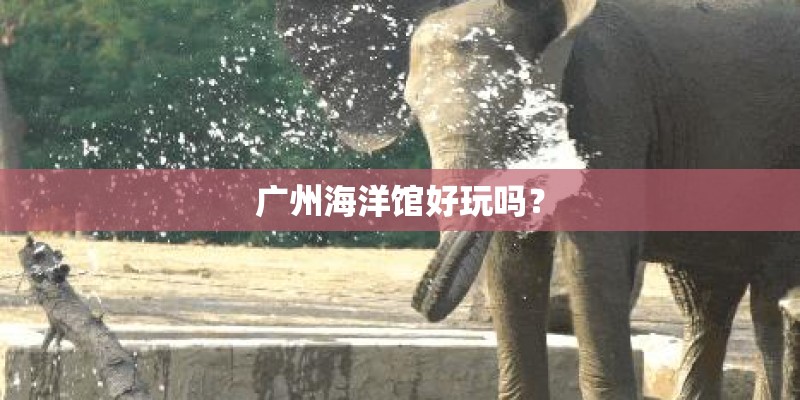 广州海洋馆好玩吗？
